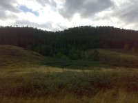 08072012565.jpg