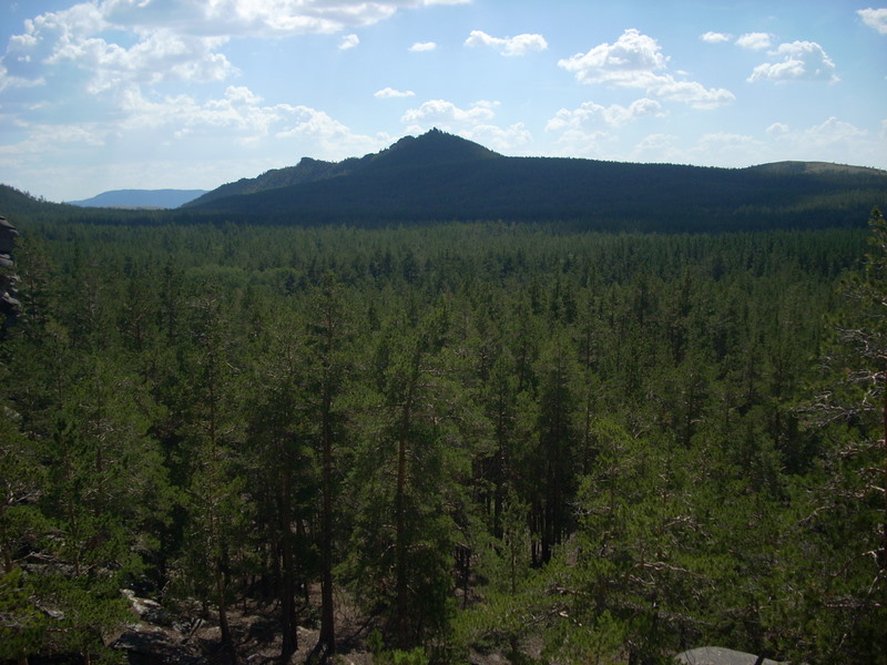 DSCN3967.JPG
